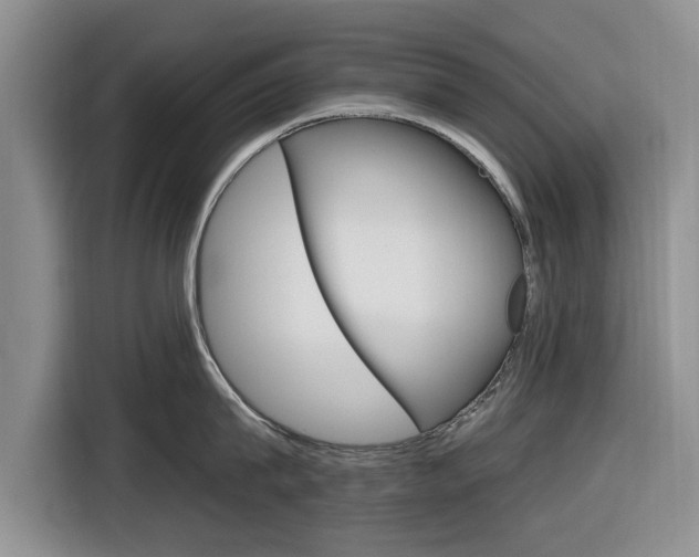 X0000116830815200912181053