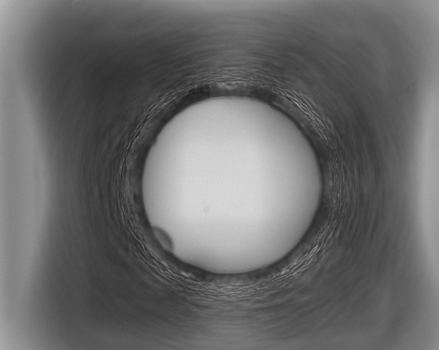 X0000116830817200912181052