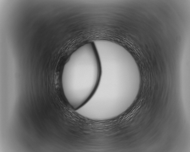 X0000116830818200912181052