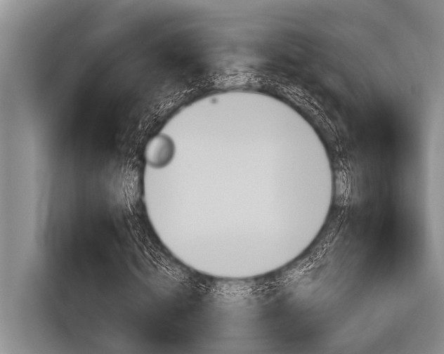 X0000116830820200912181052