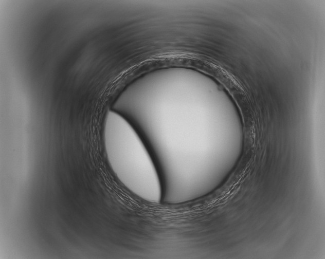 X0000116830821200912181052
