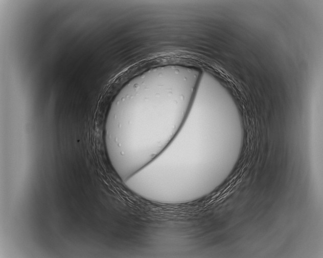 X0000116830822200912181052