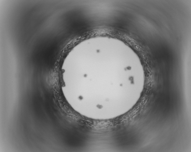 X0000116830824200912181052