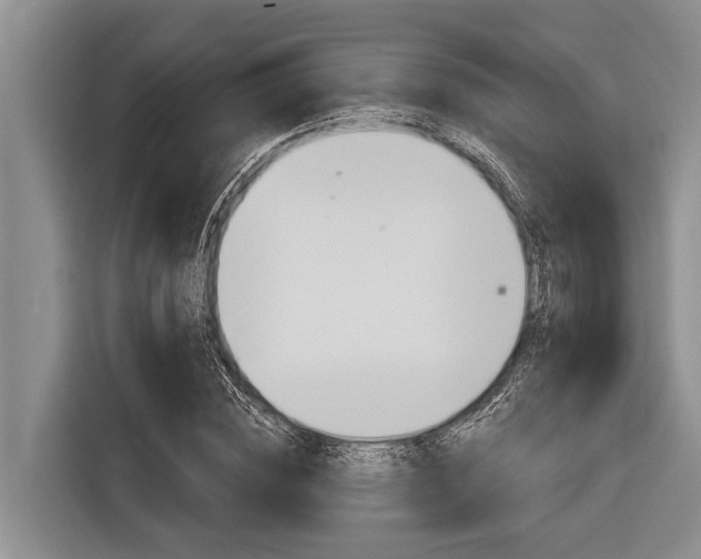 X0000116830828200912181052