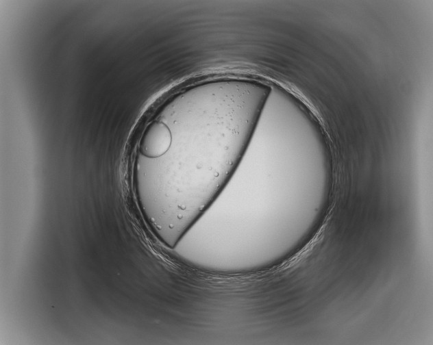 X0000116830830200912181052