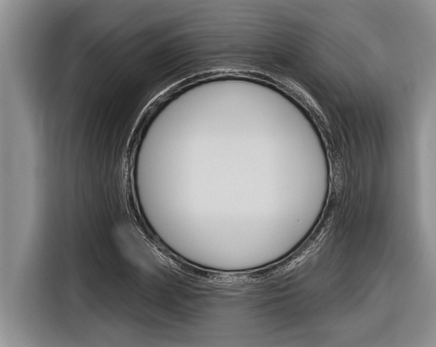X0000116830831200912181052