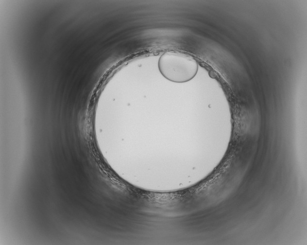 X0000116830832200912181052