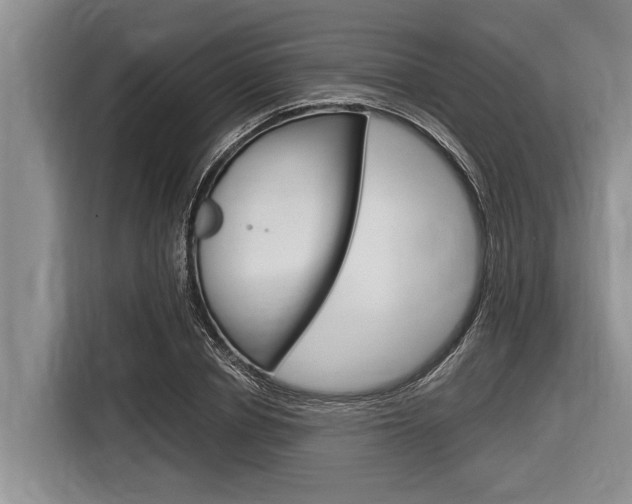 X0000116830834200912181052