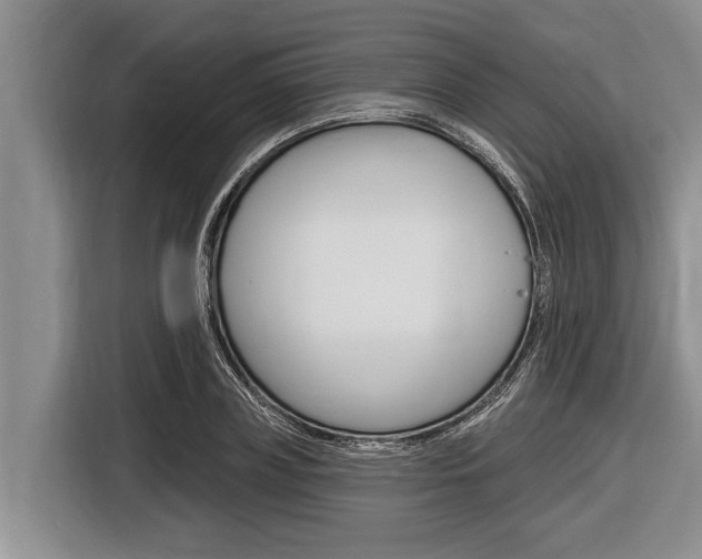 X0000116830835200912181052