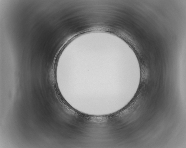 X0000116830836200912181052