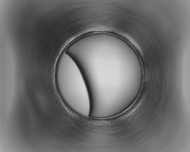 X0000116830837200912181052