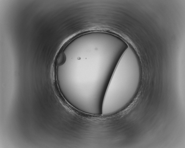 X0000116830838200912181052