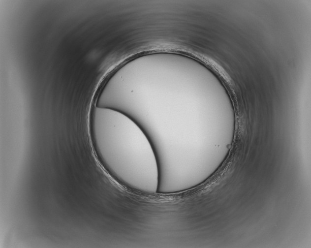 X0000116830839200912181052