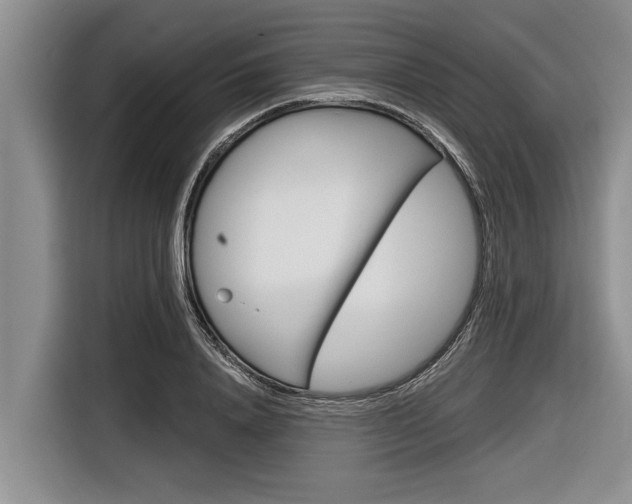 X0000116830840200912181052