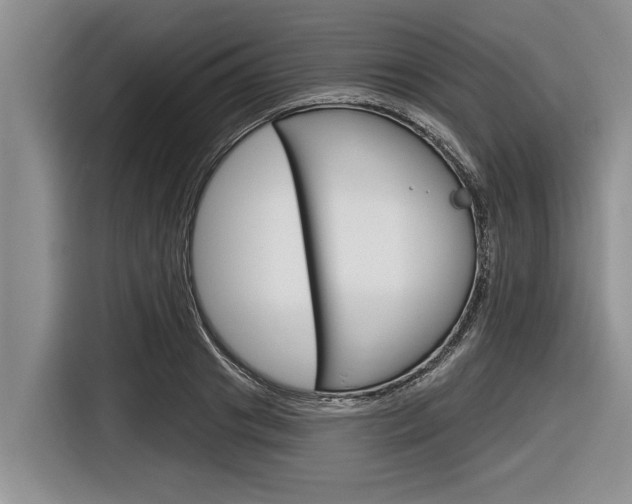X0000116830841200912181052