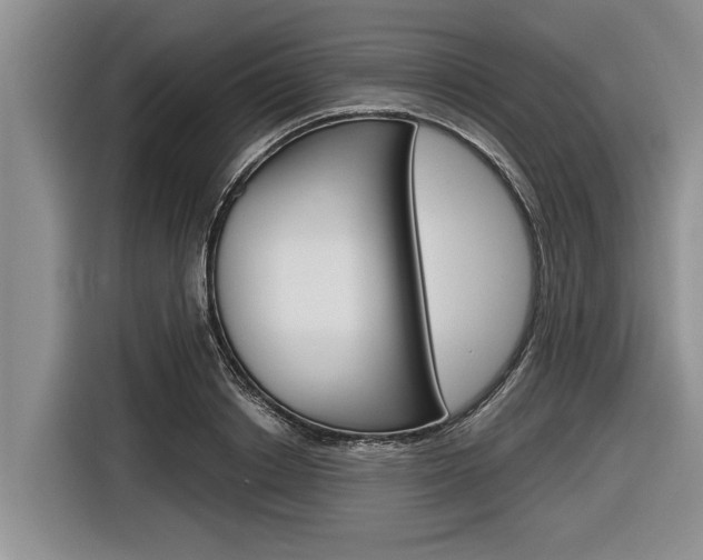 X0000116830842200912181053