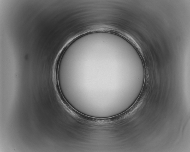 X0000116830843200912181053