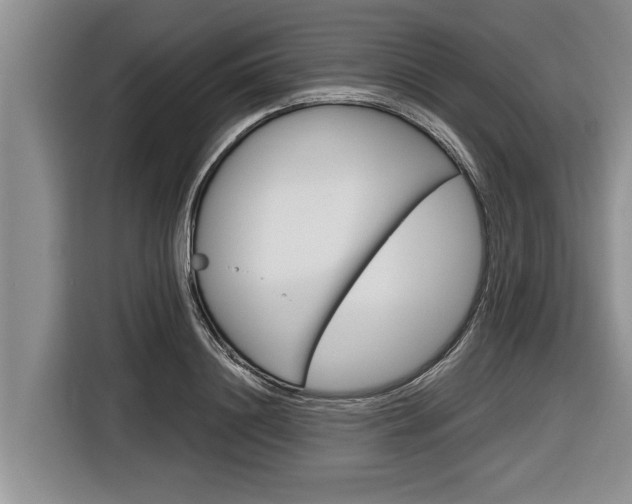 X0000116830844200912181053
