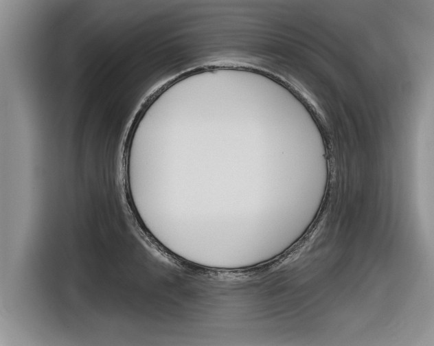 X0000116830848200912181053