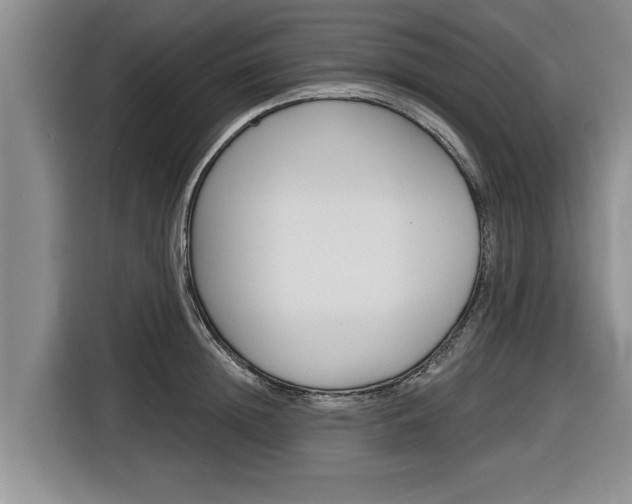 X0000116830852200912181053