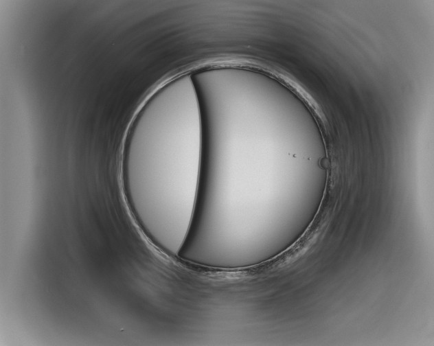 X0000116830853200912181053