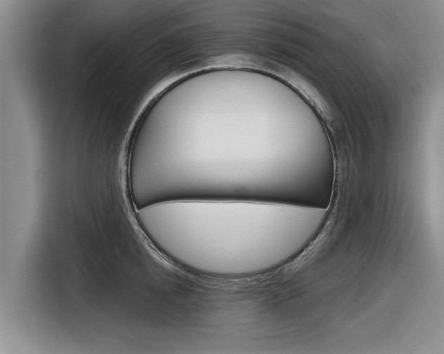 X0000116830854200912181053