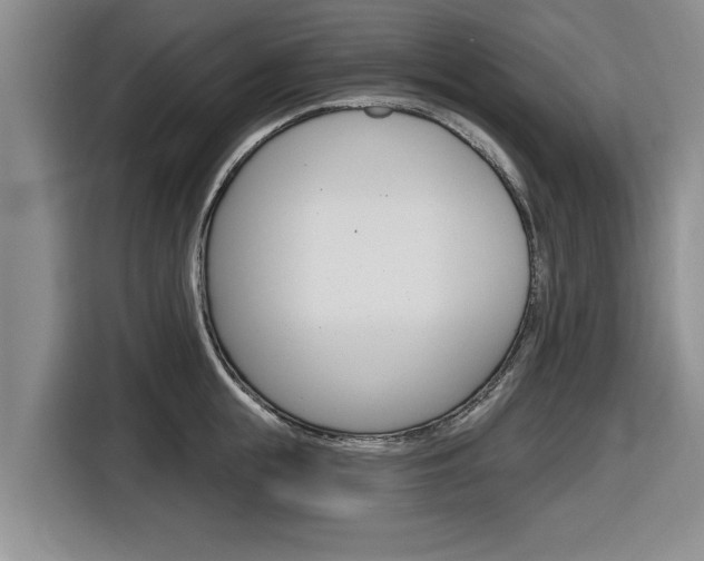 X0000116830855200912181053