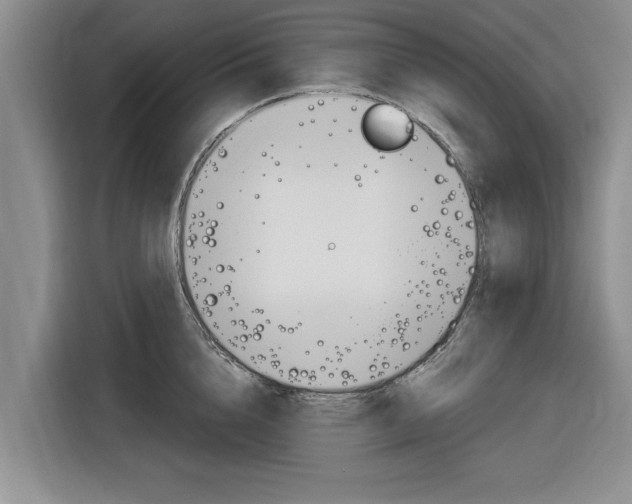 X0000116830856200912181053