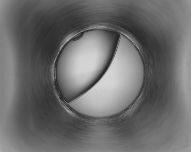 X0000116830858200912181053