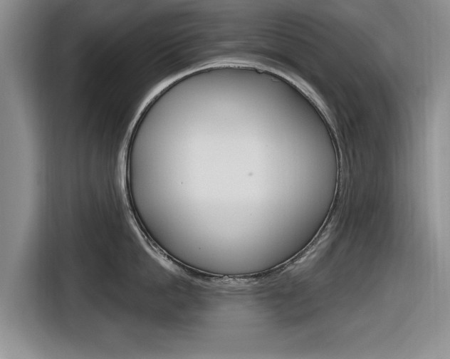 X0000116830862200912181053
