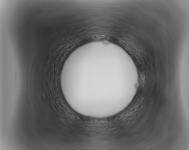 X0000116830865200912181052