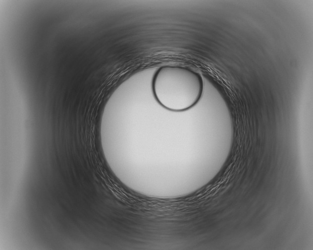 X0000116830868200912181052