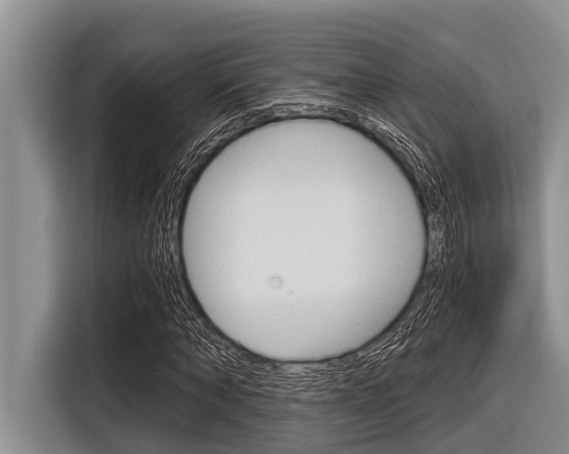 X0000116830870200912181052