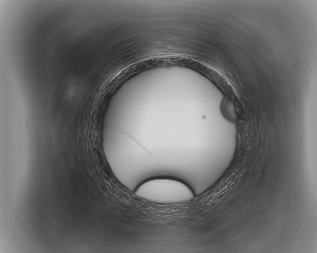 X0000116830871200912181052