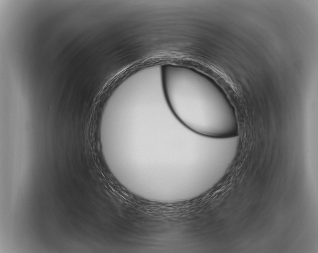 X0000116830872200912181052