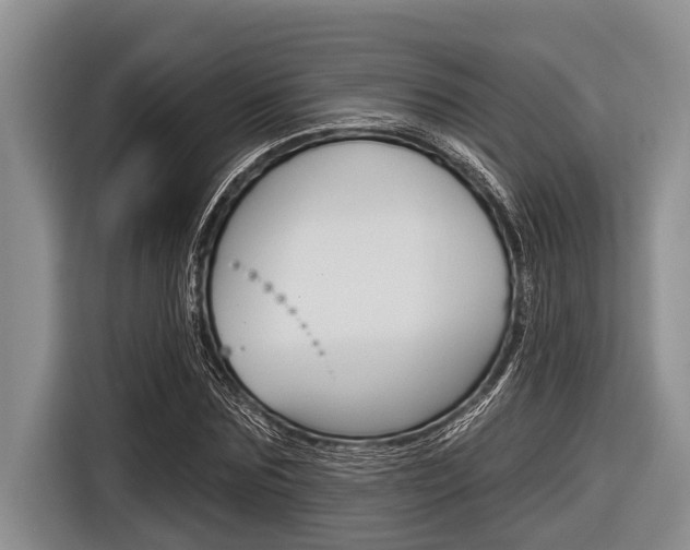 X0000116830875200912181052