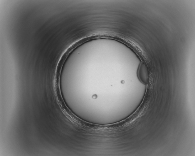 X0000116830880200912181052