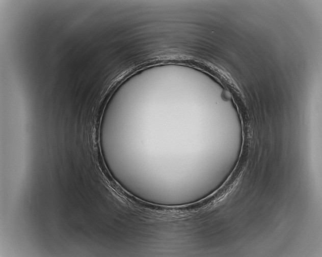 X0000116830881200912181052