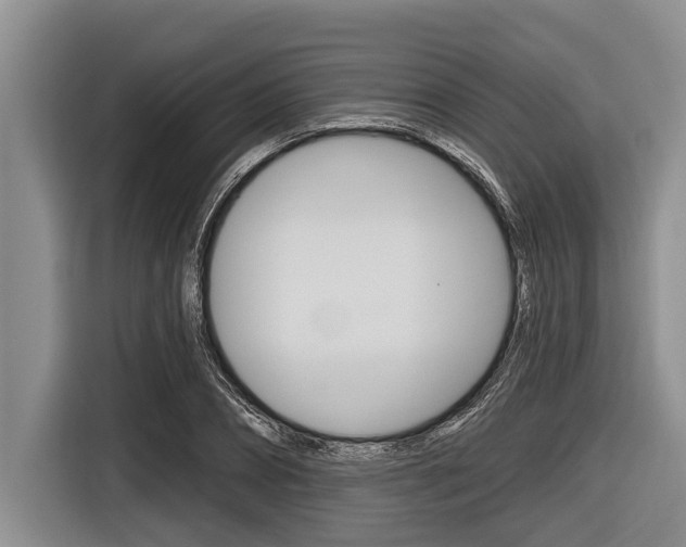 X0000116830882200912181052