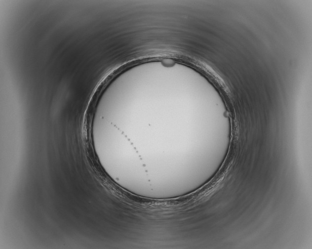 X0000116830883200912181052