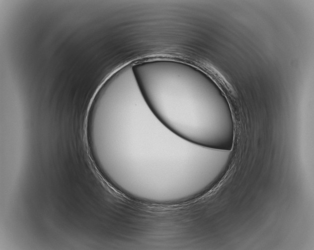 X0000116830884200912181052