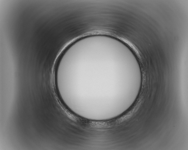 X0000116830886200912181052