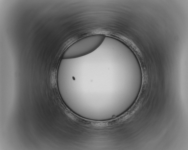 X0000116830889200912181052