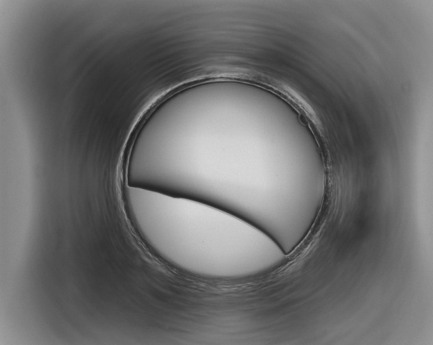 X0000116830891200912181052