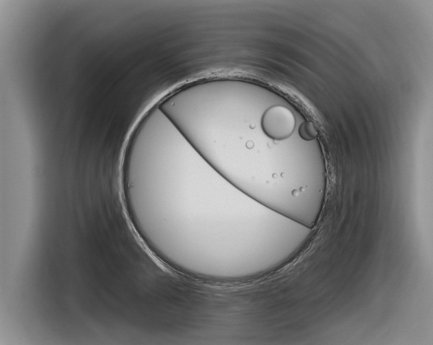 X0000116830894200912181052