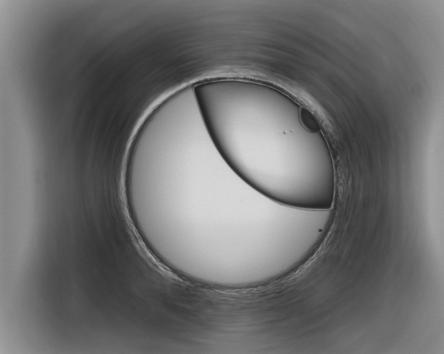 X0000116830896200912181052