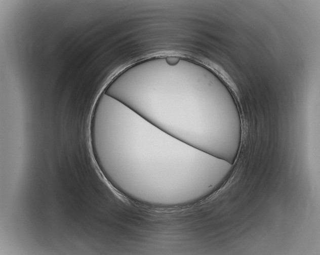 X0000116830898200912181052