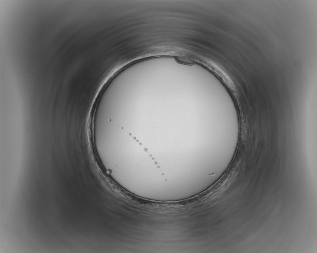 X0000116830899200912181052