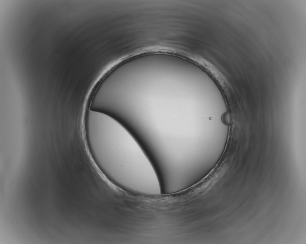 X0000116830902200912181052