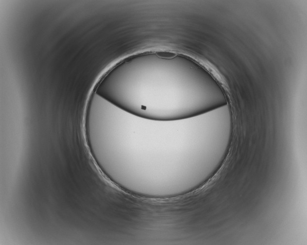 X0000116830904200912181052